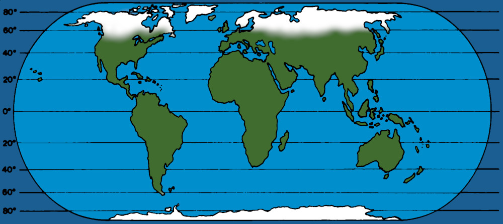 Map of Earth (WoF) (Colorized; Original B&W Image)