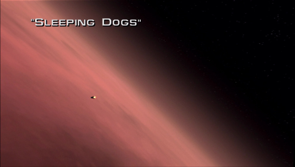 15: Sleeping Dogs